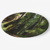 レッドウッド国立公園のレッドウッズとシダ ペーパープレート (アングル)