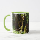 レッドウッド国立公園のレッドウッズとシダ マグカップ (左)