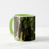 レッドウッド国立公園のレッドウッズとシダ マグカップ (正面左)