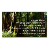 レッドウッド国立公園のレッドウッズとシダ マグネット名刺 (正面)