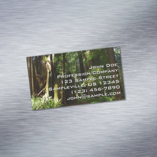 レッドウッド国立公園のレッドウッズとシダ マグネット名刺 (インサイチュ)