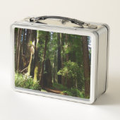 レッドウッド国立公園のレッドウッズとシダ メタルランチボックス (裏面)