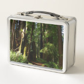 レッドウッド国立公園のレッドウッズとシダ メタルランチボックス (正面)