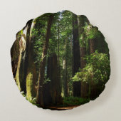 レッドウッド国立公園のレッドウッズとシダ ラウンドクッション (裏面)