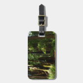 レッドウッド国立公園のレッドウッズとシダ ラゲッジタグ (正面縦)