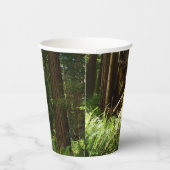 レッドウッド国立公園のレッドウッズとシダ 紙コップ (右)