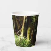 レッドウッド国立公園のレッドウッズとシダ 紙コップ (正面)