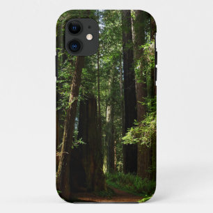 レッドウッド国立公園のレッドウッズとシダ iPhone 11 ケース