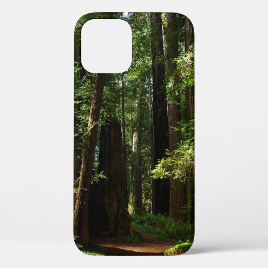 レッドウッド国立公園のレッドウッズとシダ Case-Mate iPhoneケース (裏面)