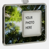 レッドウッド国立公園のレッドウッドの木の輪 シルバープレートフレームオーナメント (右)