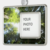 レッドウッド国立公園のレッドウッドの木の輪 シルバープレートフレームオーナメント (左)