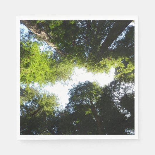 レッドウッド国立公園のレッドウッドの木の輪 スタンダードランチョンナプキン (正面)