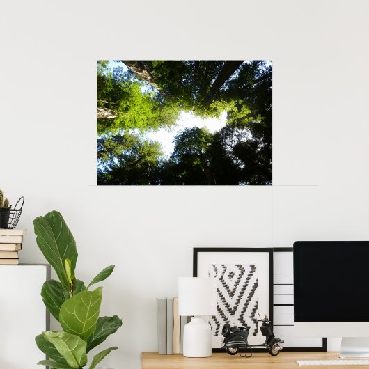 レッドウッド国立公園のレッドウッドの木の輪 ポスター (ホームオフィス)