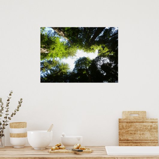 レッドウッド国立公園のレッドウッドの木の輪 ポスター (キッチン)