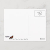 レッドウッド国立公園のレッドウッドの木の輪 ポストカード (裏面)