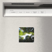 レッドウッド国立公園のレッドウッドの木の輪 マグネット (インサイチュ (食洗機))