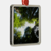 レッドウッド国立公園のレッドウッドの木の輪 メタルオーナメント (右)