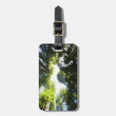 レッドウッド国立公園のレッドウッドの木の輪 ラゲッジタグ (正面縦)