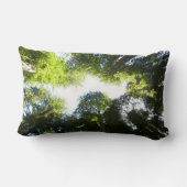 レッドウッド国立公園のレッドウッドの木の輪 ランバークッション (裏面)