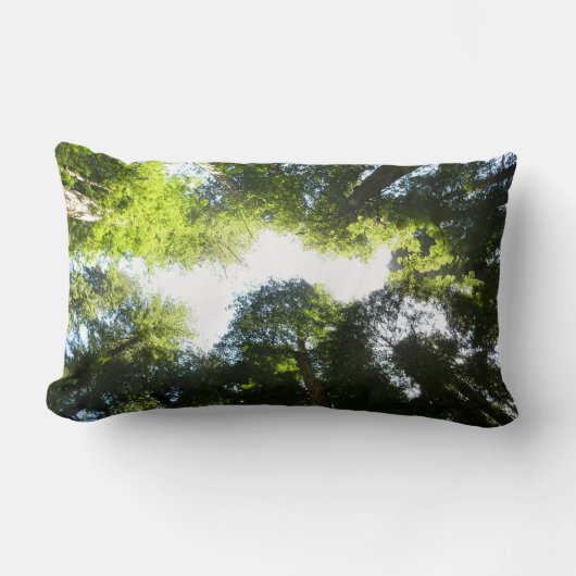 レッドウッド国立公園のレッドウッドの木の輪 ランバークッション (正面)