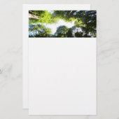 レッドウッド国立公園のレッドウッドの木の輪 便箋 (正面/裏面)