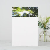 レッドウッド国立公園のレッドウッドの木の輪 便箋 (スタンド正面)