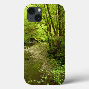 レッドウッド国立公園のロストマン・クリークI iPhone 13ケース