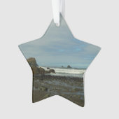 レッドウッド国立公園の太平洋海岸線 オーナメント (正面)