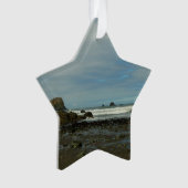 レッドウッド国立公園の太平洋海岸線 オーナメント (正面)