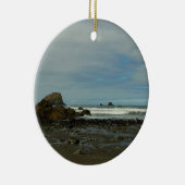 レッドウッド国立公園の太平洋海岸線 セラミックオーナメント (右)