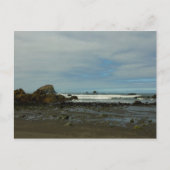 レッドウッド国立公園の太平洋海岸線 ポストカード (正面)