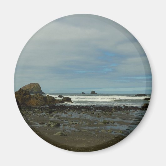 レッドウッド国立公園の太平洋海岸線 マグネット (正面)