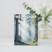 レッドウッド国立公園の霧の朝 ポストカード (スタンド正面)