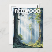 レッドウッド国立公園の霧の朝 ポストカード (正面/裏面)