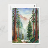 レッドウッド国立公園ウォーター絵画カラー ポストカード (正面/裏面)