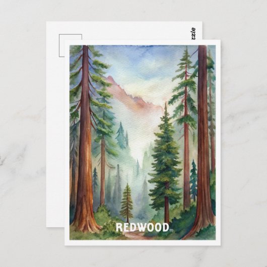 レッドウッド国立公園ウォーター絵画カラー ポストカード (正面/裏面)