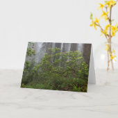 レッドウッド国立公園カリフォルニアのシャクナゲ カード (黄色い花)