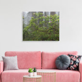 レッドウッド国立公園カリフォルニアのシャクナゲ キャンバスプリント (インサイチュ (リビング))