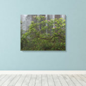 レッドウッド国立公園カリフォルニアのシャクナゲ キャンバスプリント (インサイチュ (ウッドフロア))