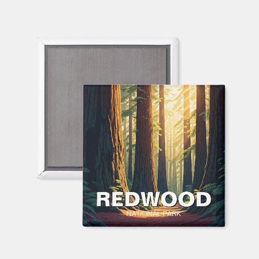 レッドウッド国立公園カリフォルニアサンライト マグネット (正面/裏面)