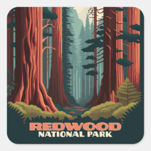 レッドウッド国立公園カリフォルニアツリーズ スクエアシール