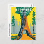 レッドウッド国立公園カリフォルニアヴィンテージ林 ポストカード (正面/裏面)