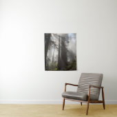 レッドウッド国立公園カリフォルニア タペストリー (インサイチュ)