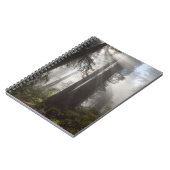 レッドウッド国立公園カリフォルニア ノートブック (左側)