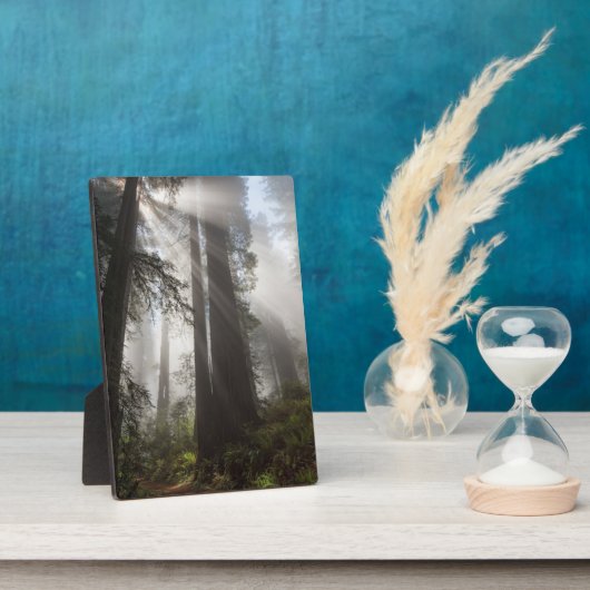 レッドウッド国立公園カリフォルニア フォトプラーク (側面)