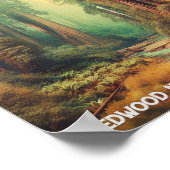 レッドウッド国立公園カリフォルニア ポスター (角)