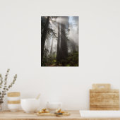 レッドウッド国立公園カリフォルニア ポスター (キッチン)