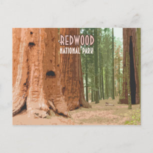 レッドウッド国立公園カリフォルニア ポストカード