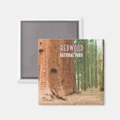 レッドウッド国立公園カリフォルニア マグネット (正面/裏面)
