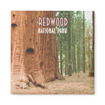 レッドウッド国立公園カリフォルニア
